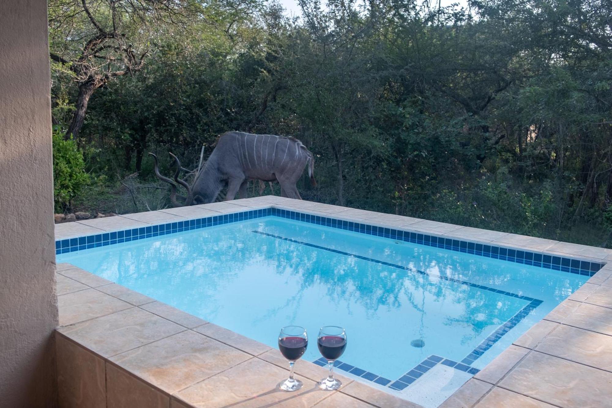 Kruger Cottage Marloth Park Luaran gambar