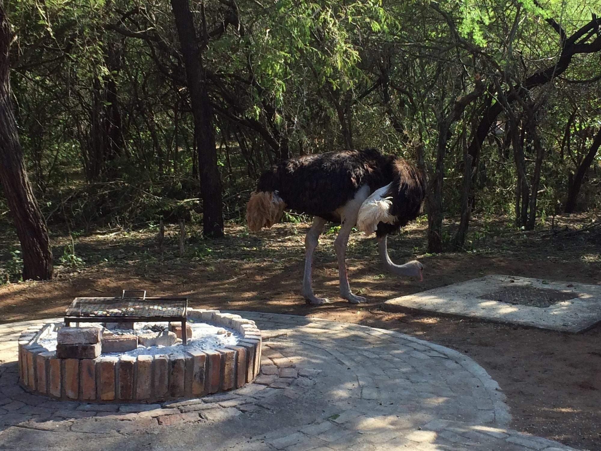 Kruger Cottage Marloth Park Luaran gambar